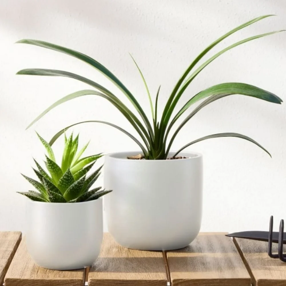 West Elm Radius Ceramic Indoor/Outdoor Tabletop Planters